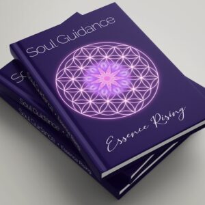 Soul Guidance Book Paperback