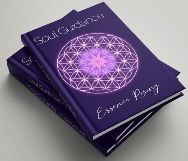 Soul Guidance Book Paperback